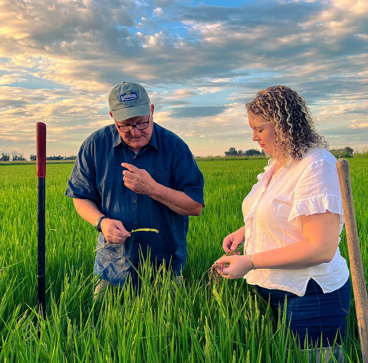 Lundberg Family Farms
