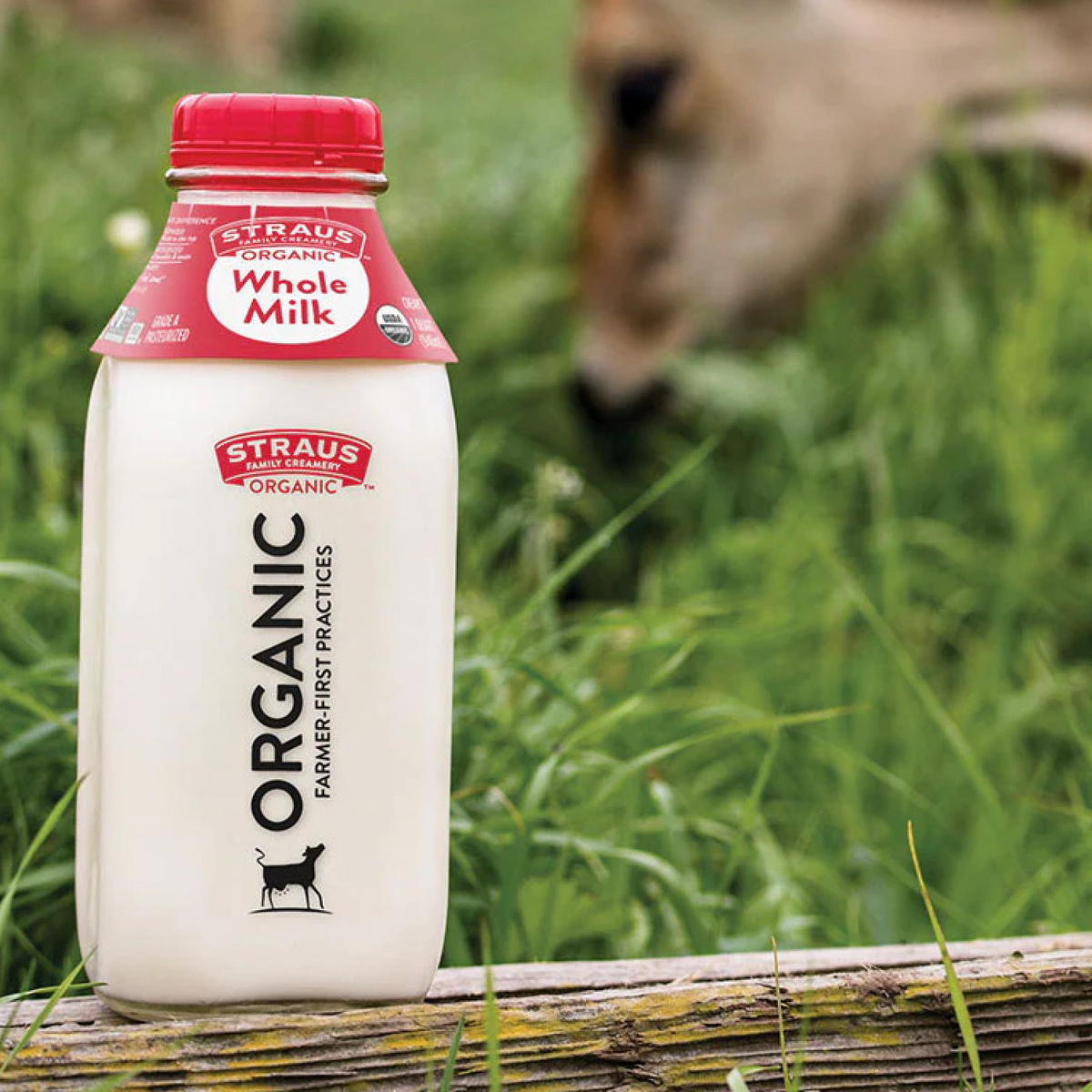 Refill Is Coming For Your Grocery Store Routine & Straus Pop-Up... – Re ...