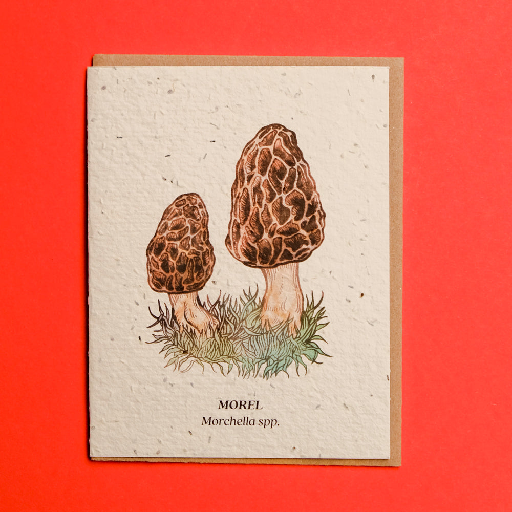 Plantable Seed Cards