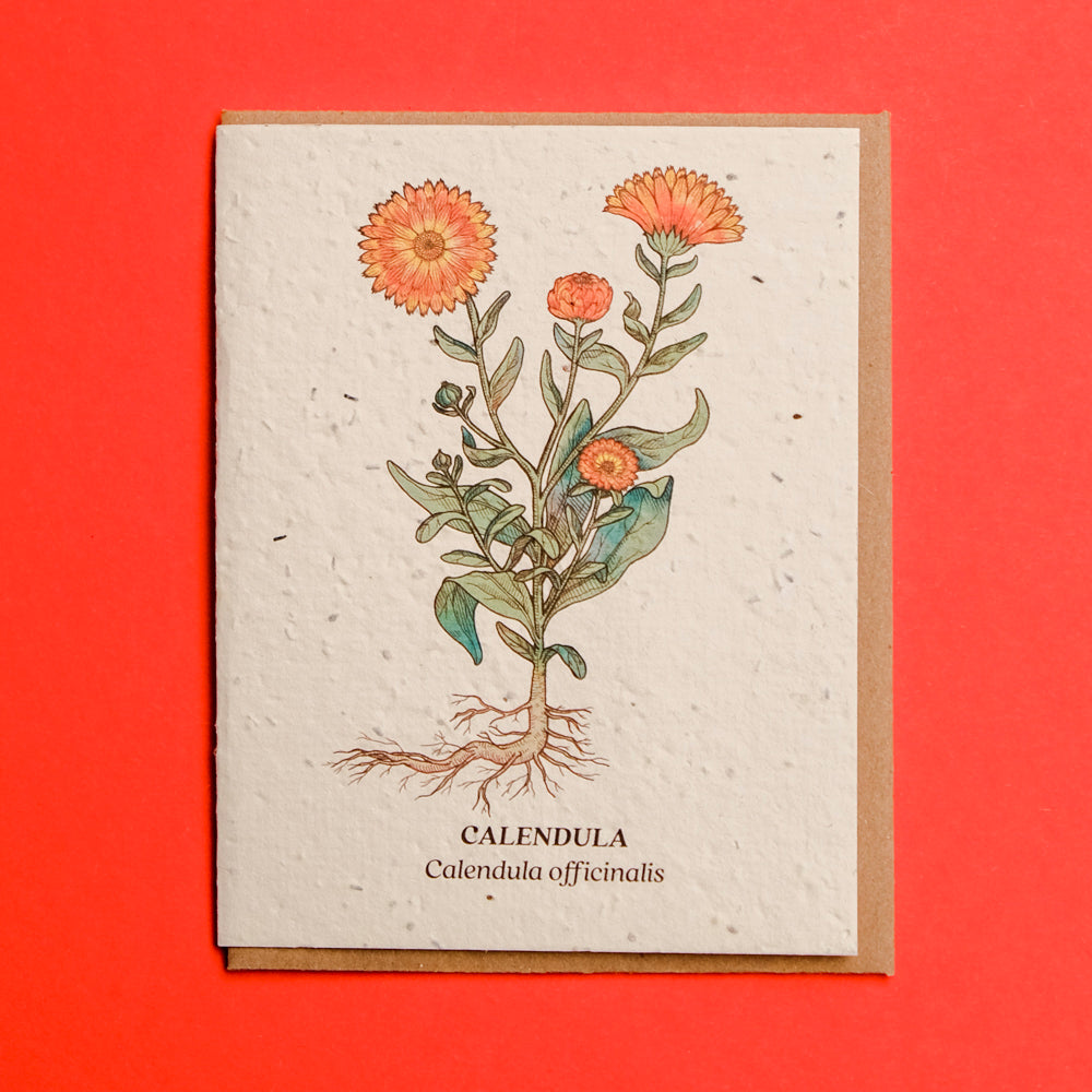 Plantable Seed Cards