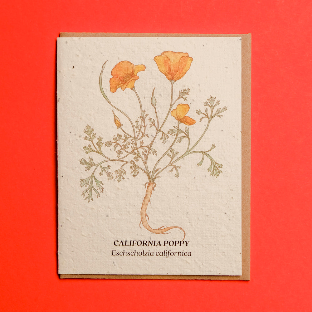 Plantable Seed Cards