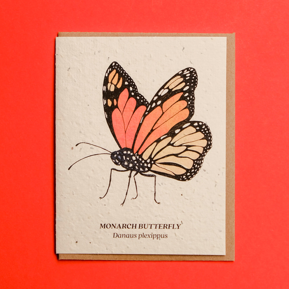 Plantable Seed Cards