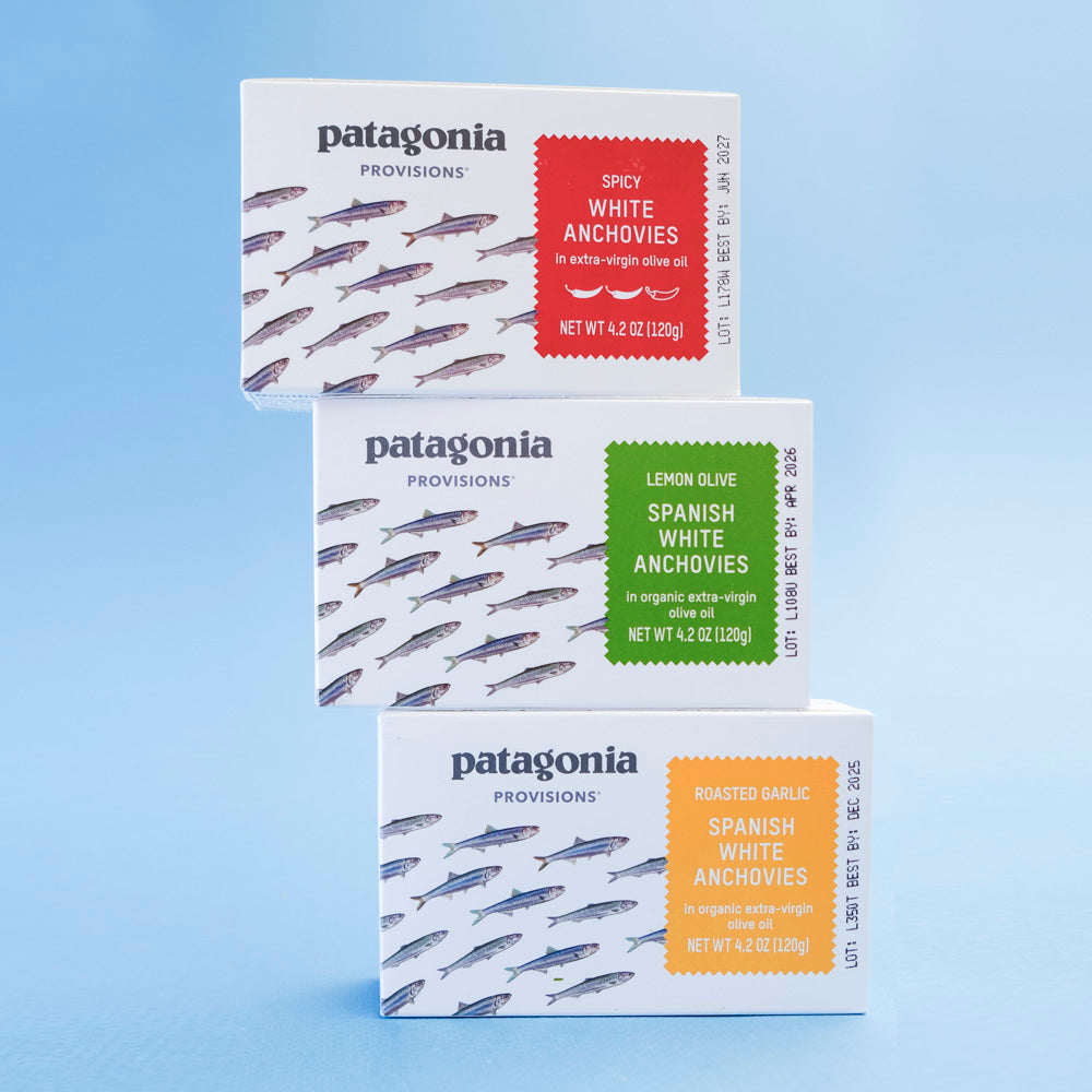 Organic Tinned Anchovies – Re-Up Refills