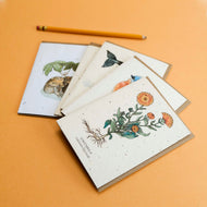 Plantable Seed Cards